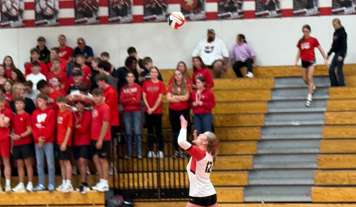Volleyball