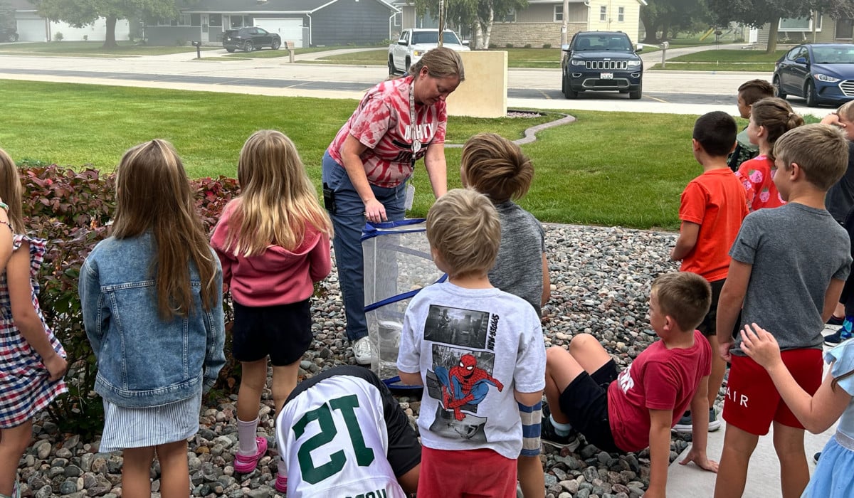 Elementary Butterfly Release
